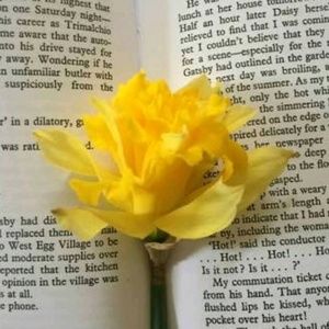 Meet your Posher, Alaina